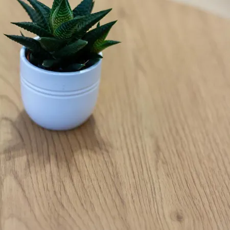 Lejlighed Buda Budapest